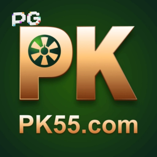 Logo pk55.com